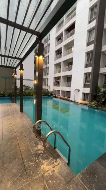 2 BHK Flat In One Vacant Place In Single Room I Trend Life 3, Wakad, Behind Decathlon for Rent  In I, Trend Life 3, Tathawade, Pimpri-chinchwad, Maharashtra 411033, India