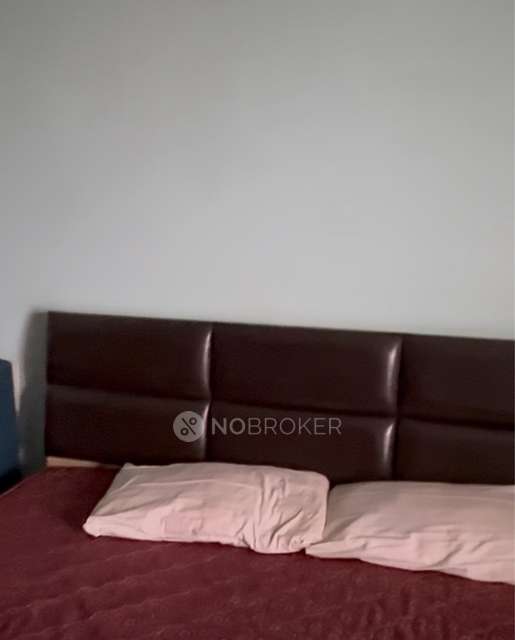 1 RK Flat In Supertech Ecociti  for Rent  In Sector 137