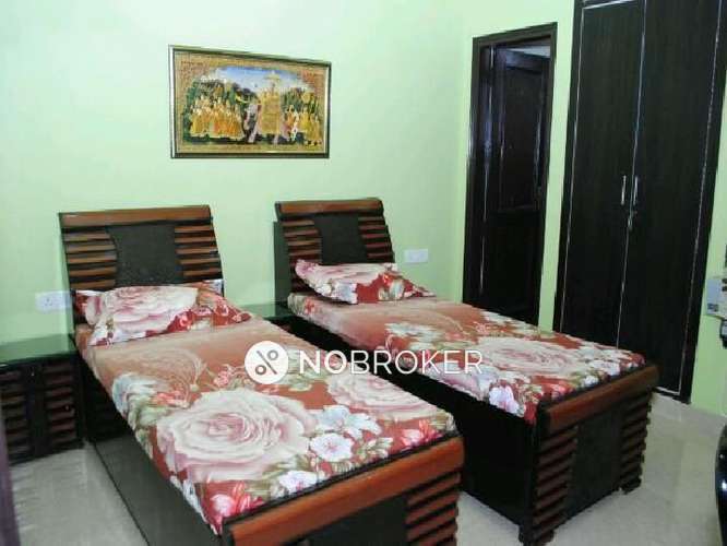 PG for Boys in Sector 41