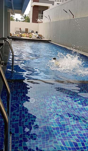 2 BHK Flat In Spt Crafted Living, Whitefield for Rent  In Whitefield