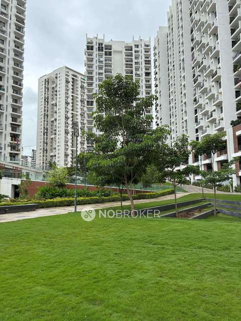 2 BHK Flat In Godrej Rejuve, Keshav Nagar for Rent  In Keshav Nagar