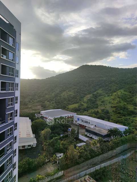 2 BHK Flat In Mittal High Mount, Hinjawadi for Rent  In Hinjawadi