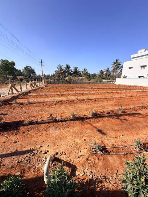 Godown/Warehouse in Chikkappaiah Farm (trigun), Bangalore for Rent 