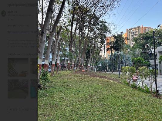 2 BHK Flat In Mahindra The Woods for Rent  In Wakad