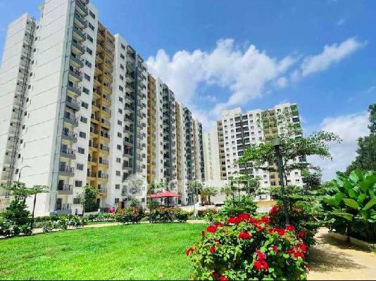 1 BHK Flat In Corporate Sunrise For Sale  In Gunjur