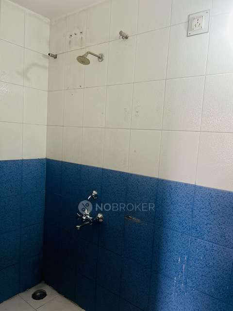 1 BHK Flat In Shalini Heights for Rent  In Shivajinagar