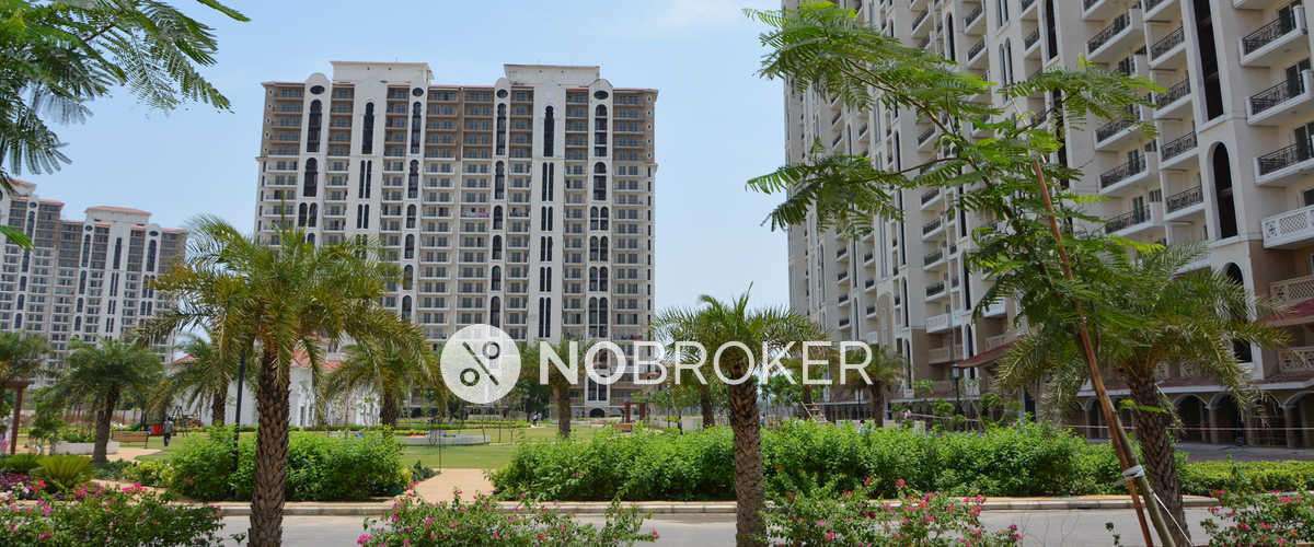 3 BHK Flat In Dlf New Town Heights For Sale  In Sector 90
