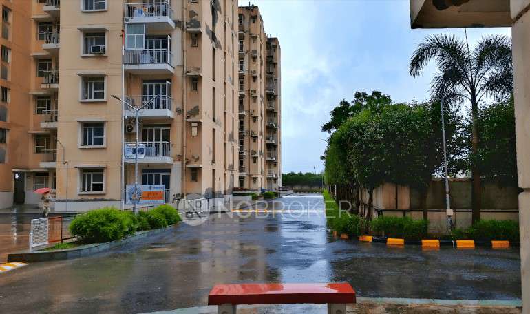 3 BHK Flat In Sai Vatika Apartment for Rent  In Sector 63