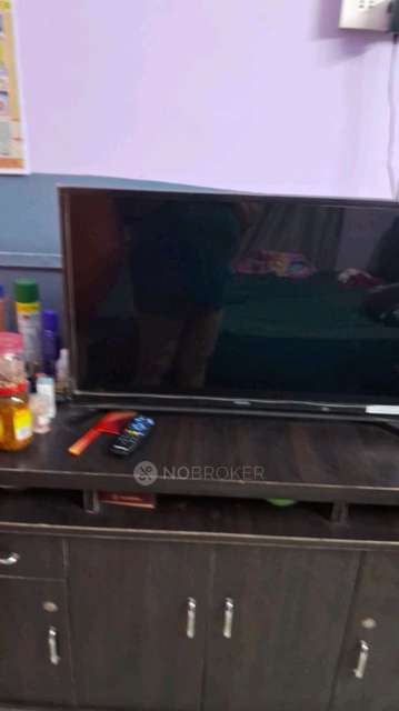 PG for Girls in Sector 19c