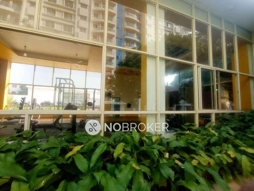 2 BHK Flat In Megapolis Sparklet For Sale  In Hinjewadi