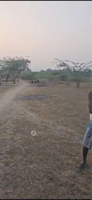 Plot For Sale  In Walltax Road