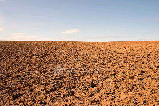 Industrial Shed in  Rayasandra, Bangalore for Rent 