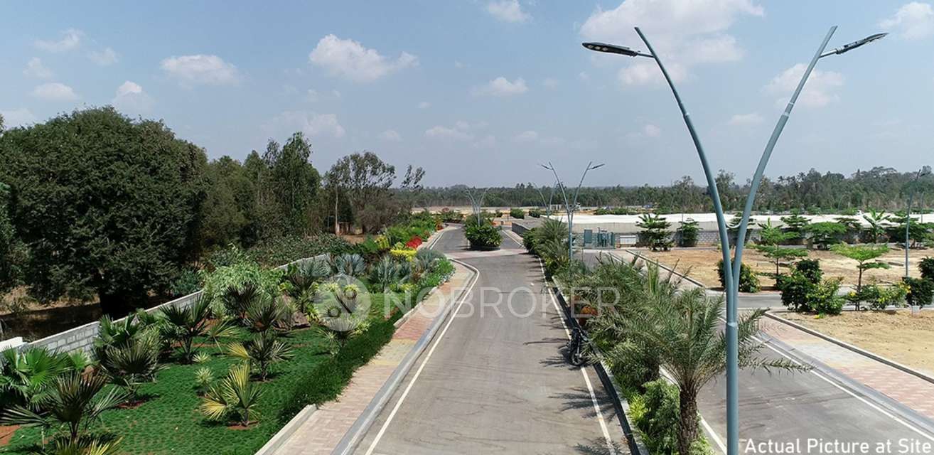 Plot For Sale  In Sarjapur Road