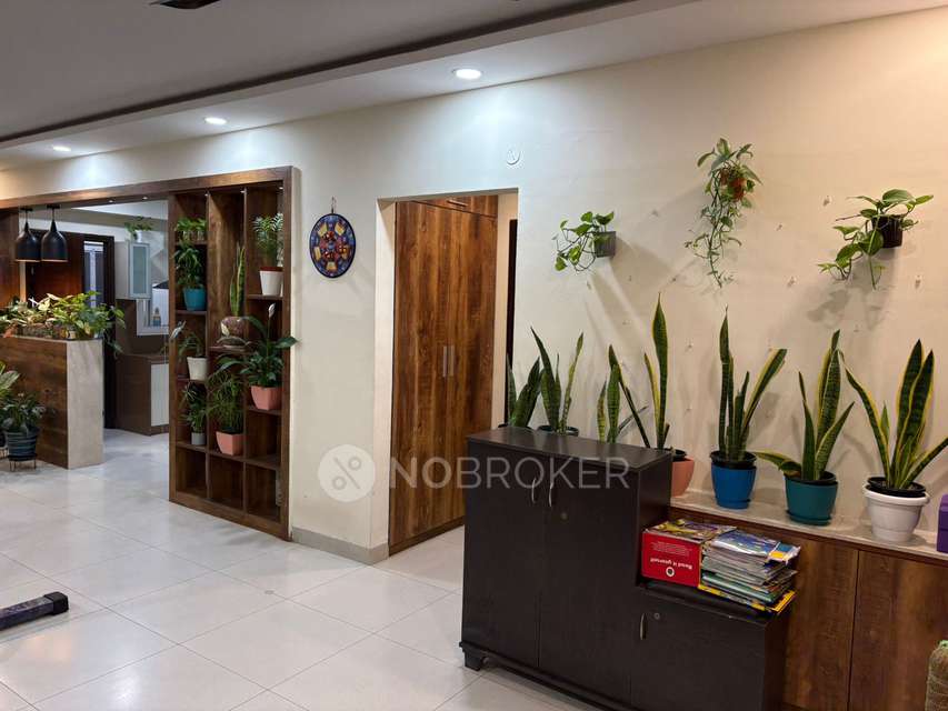 3 BHK Flat In S And S Green Grace , Gachibowli for Rent  In Gachibowli