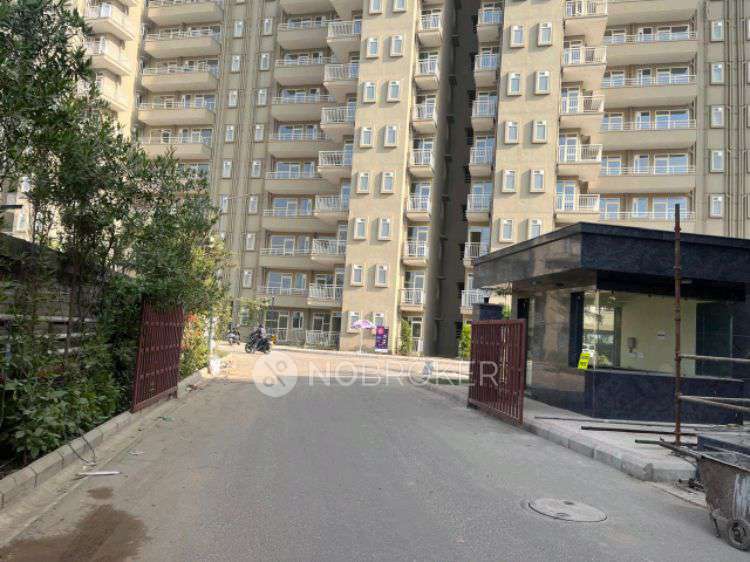 3 BHK Flat In Pyramid Altia for Rent  In Sector 70