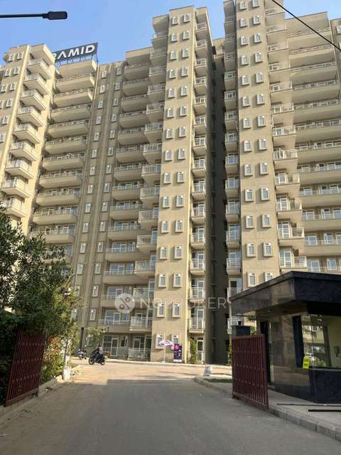 3 BHK Flat In Pyramid Altia for Rent  In Sector 70
