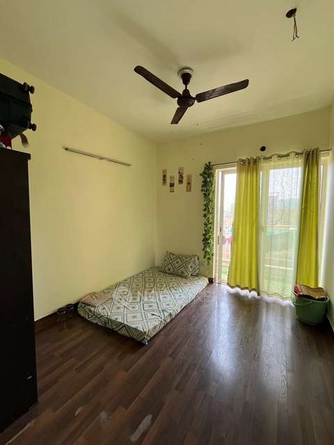 Single Room for Female In 3 BHK  In Paras Tierea In Sector 137