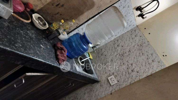 1 BHK Flat In F17118 Gangotri Chattarpur for Rent  In F 7, Block A1, Chhatarpur, New Delhi, Delhi 110074, India