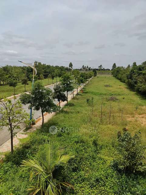 Plot For Sale  In Bird Of Paradise In Kuduregere