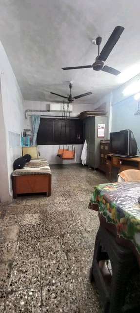 1 BHK Flat In Baj Geejay Chs, Borivali West for Rent  In 67671, Gymkhana Rd, Om Shree Geetanjali Nagar, Saibaba Nagar, Borivali West, Mumbai, Maharashtra 400092, India