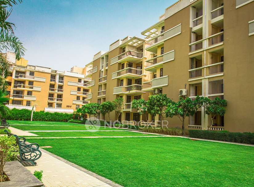 1 BHK Flat In Eldeco Mystic Greens, Omicron I for Rent  In Omicron I