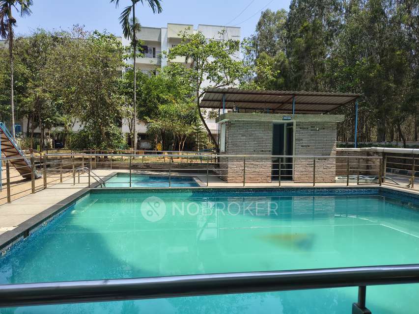 2 BHK Flat In Sls Sunrise for Rent  In Panathur