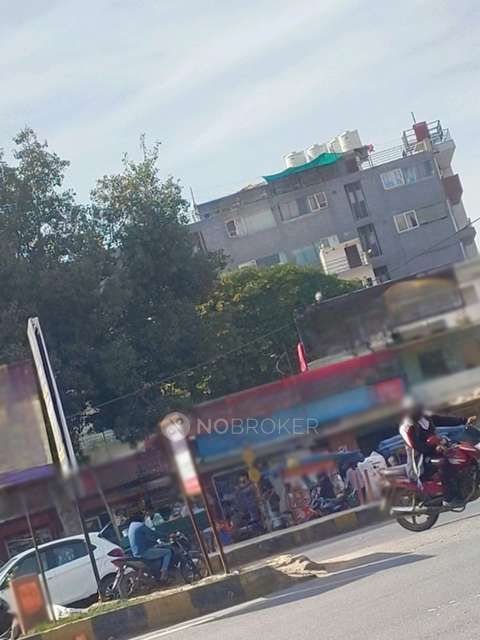 PG for Anyone in Sector 89