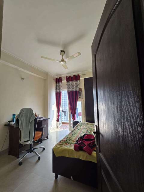 2 BHK Flat In Aims Golf City, Sector 75 for Rent  In Sector 75