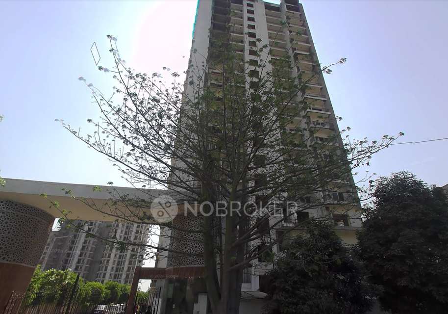 1 RK Flat In White House for Rent  In Noida Expressway