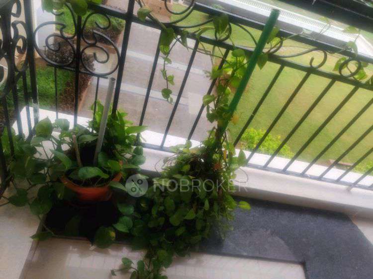 3 BHK Flat In Hillridge Springa For Sale  In Gachibowli