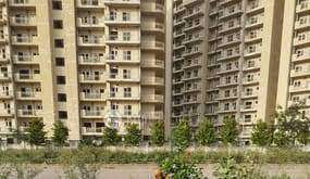 3 BHK Flat For Sale  In New Palam Vihar Phase 1, Sector 110