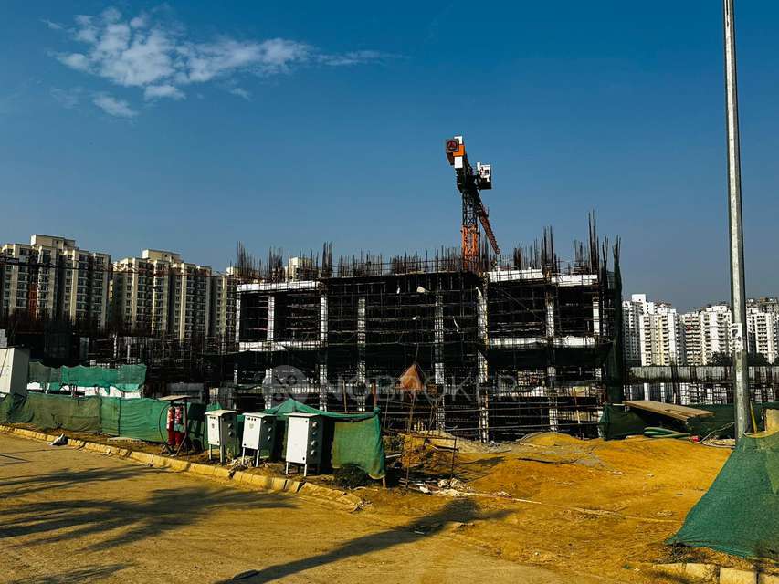 3 BHK Flat In Signature Global Deluxe Dxp, Sector 37d For Sale  In Sector 37d