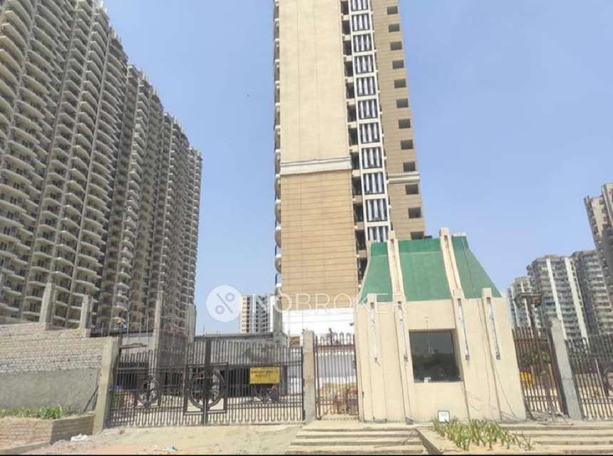 3 BHK Flat In Amrapali Golf Home for Rent  In Sector 4