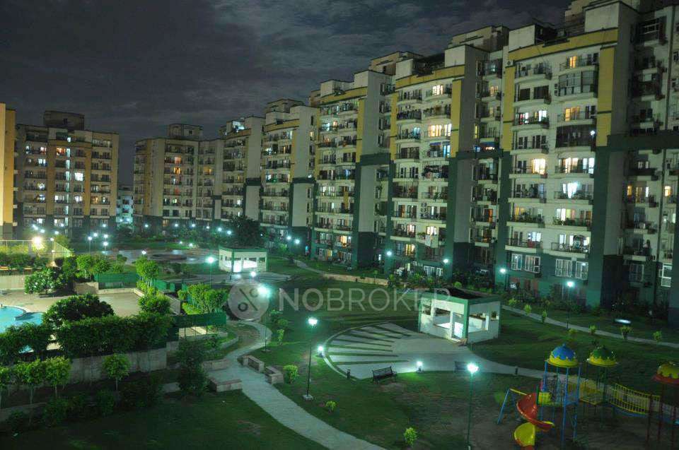 4+ BHK Flat In Rps Green Valley for Rent  In Sector 41