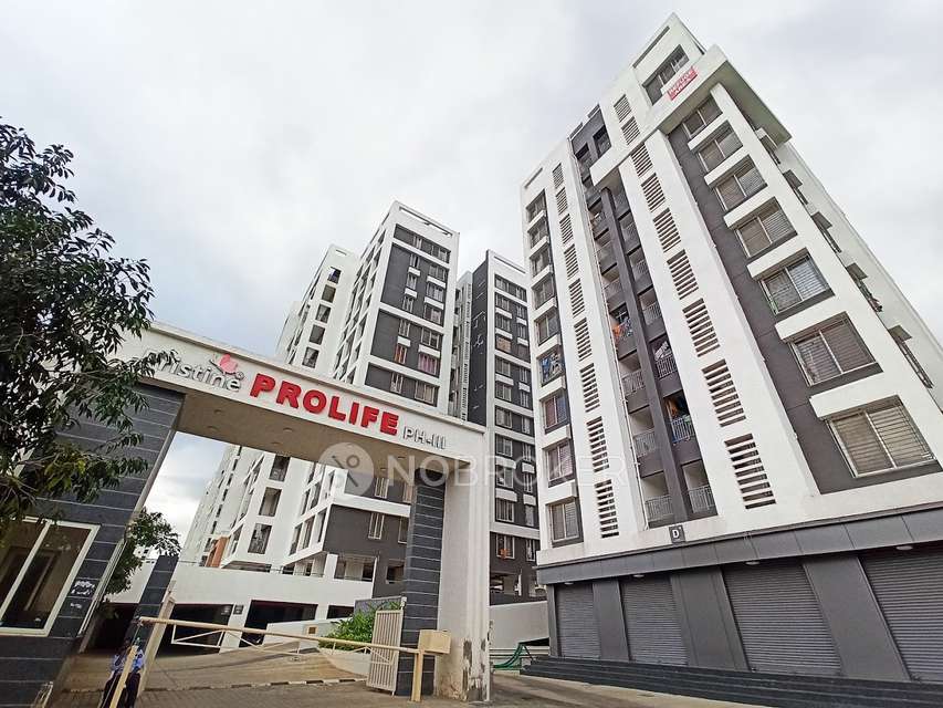 Single Room for Female In 2 BHK  In Pristine Prolife Phase 3 In Wakad