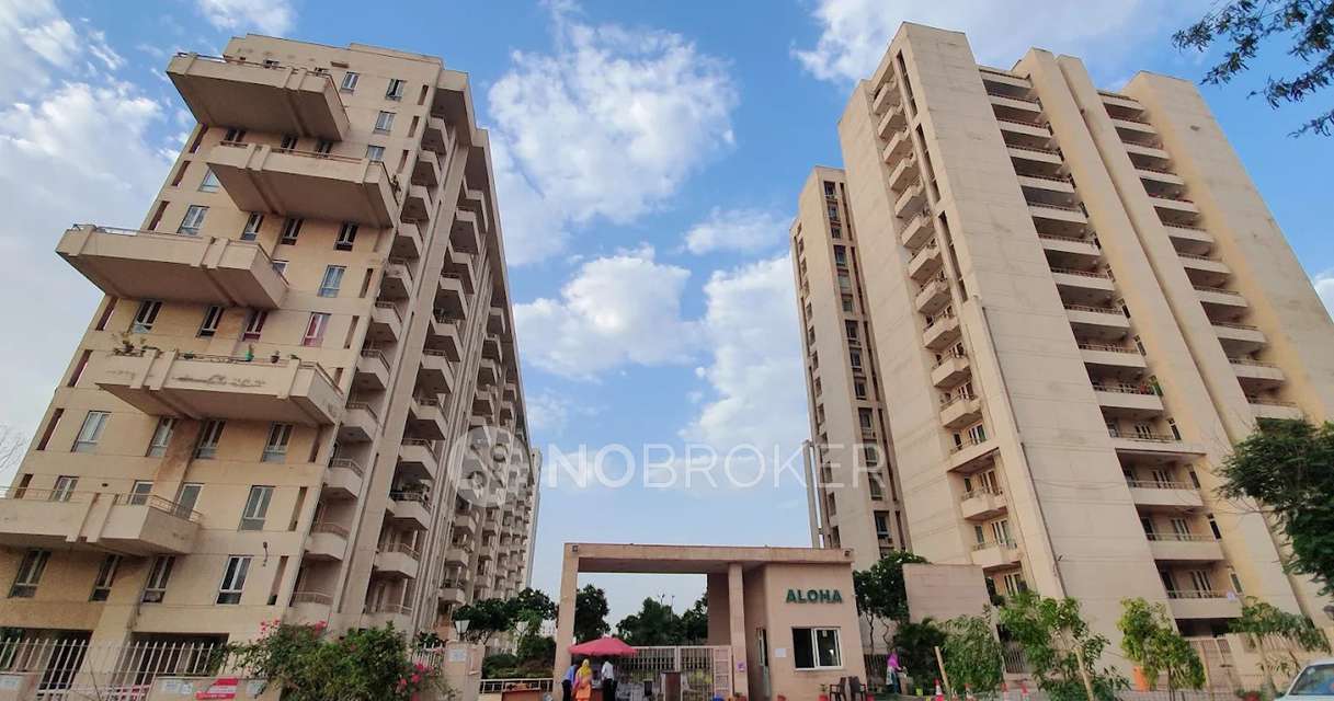Single Room for Male In 3 BHK  In Aloha Apartment In Sector 57