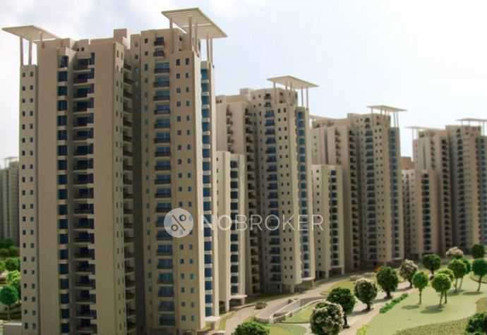 3 BHK Flat In Jaypee Aman for Rent  In Sector 151