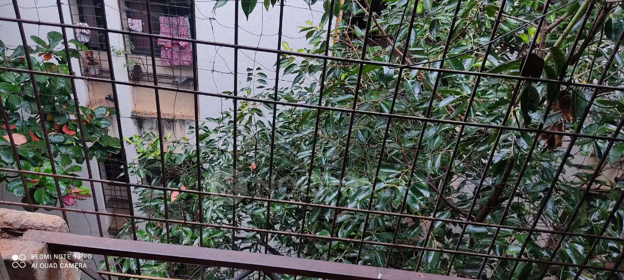 1 BHK Flat In Nimbaj Apartments, Anand Nagar for Rent  In Anand Nagar