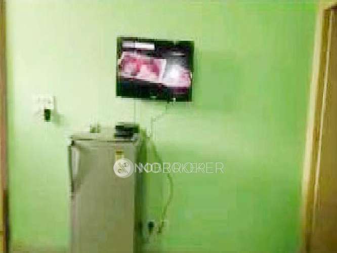 PG for Anyone in  Sector 24