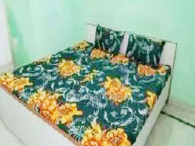 PG for Anyone in  Sector 24