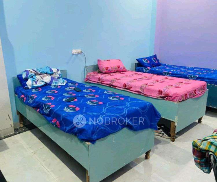 PG for Anyone in Sector 132