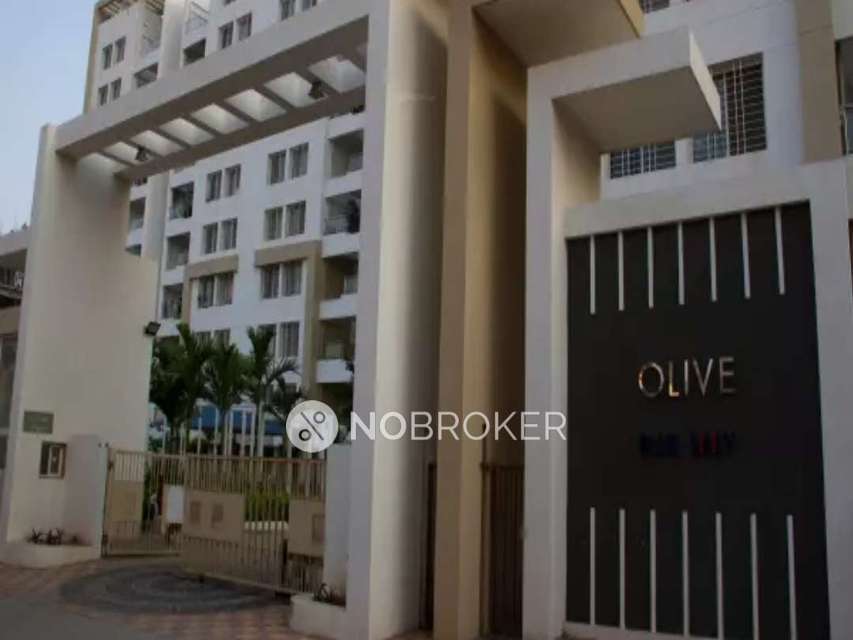 2 BHK Flat In Blue Skky Olive for Rent  In Wagholi