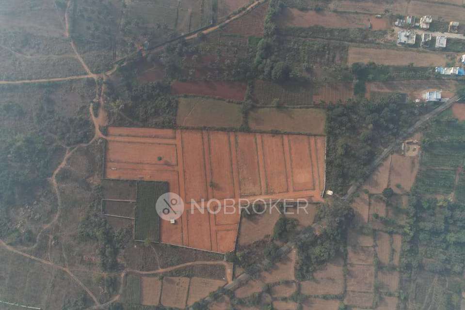 2 BHK House For Sale  In Hejjala Kurubara Karenahalli Bididi Hobli Ramanagar Tq