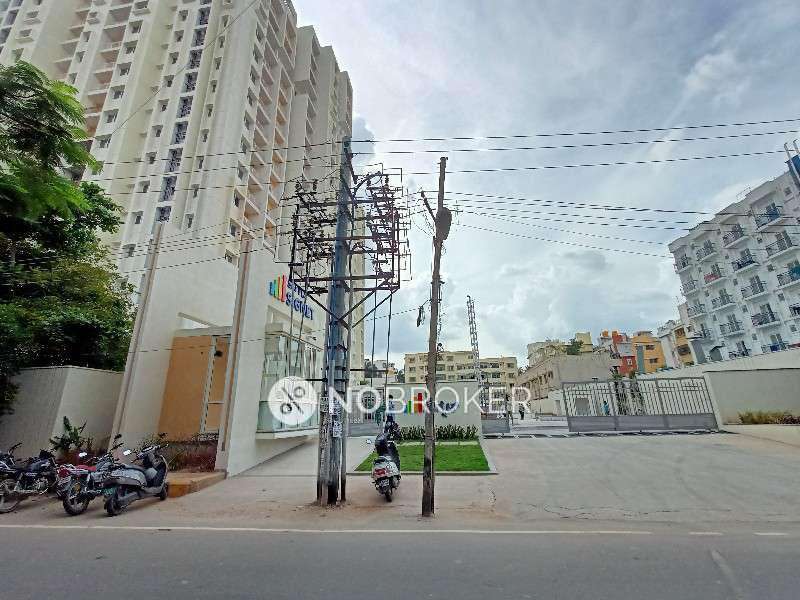 1 BHK Flat In Salarpuria Sattva Signet for Rent  In Kasavanahalli