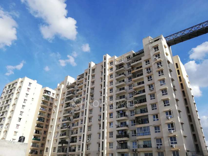 2 BHK Flat In Plama Heights for Rent  In Hennur Gardens