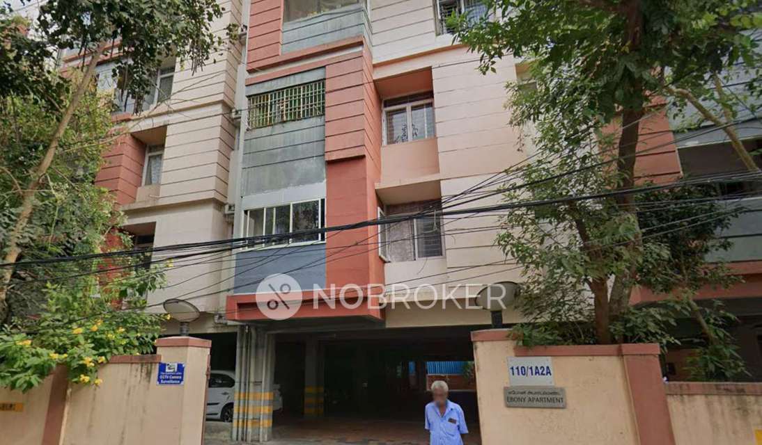 3 BHK Flat In  Ebony Apts for Rent  In Ips Colony