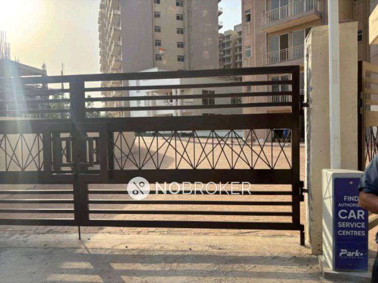 3 BHK Flat In Laburnum Victory Floors for Rent  In Sector-63a,