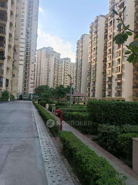 2 BHK Flat In Assotech Windsor Court for Rent  In Sector 78