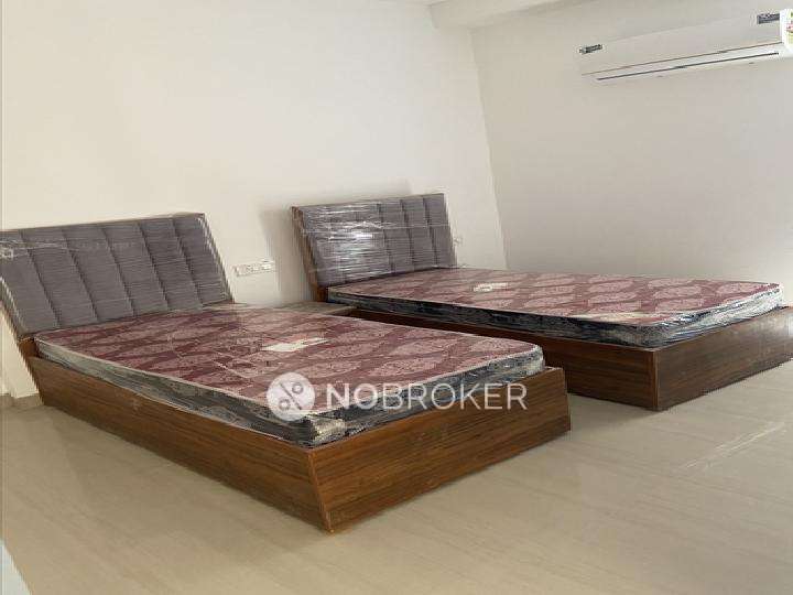 PG for Boys in Sector 55