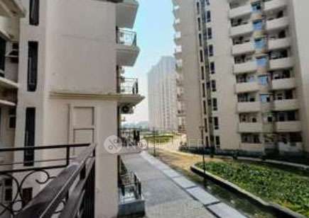 2 BHK Flat In Signature Global Milenium 3 for Rent  In Sector 37d